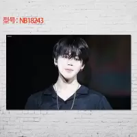 贴贴福 防弹少年团海报BTS金南俊朴智旻周边壁纸壁画客厅酒吧宿舍装饰画送双面胶十元 NB18243 50*30cm（