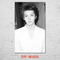贴贴福 韩国明星EXO吴世勋朴灿烈明星海报明信片写真宿舍墙壁画纸送双面胶十元 NB18292 50*30cm（客户好