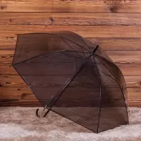 雨伞 透明雨伞 直杆伞 自动伞 创意雨伞广告伞 女小清新拍摄道具伞 彩色长柄雨伞 活动礼品伞赠品 透明伞黑色 21寸（客