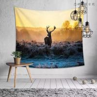 ins背景墙挂布红布置房间墙布 北欧床头装饰布 少女宿舍卧室改造挂毯抖音（客户）