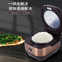 众筹 长虹(CHANGHONG) FB40-X19高端智能预约饭煲 4L (860W)*(运费自付)