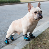 中大型犬春季宠物鞋子一套4只大狗金毛柯基法斗四季款帅气狗狗鞋