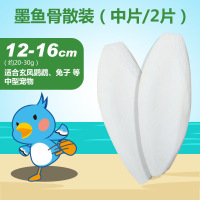 精选宠物鹦鹉专用墨鱼骨 龟磨嘴补钙鸟食爬行用品 海鳔鞘 中号散装2片