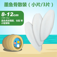 精选宠物鹦鹉专用墨鱼骨 龟磨嘴补钙鸟食爬行用品 海鳔鞘 小号散装3片
