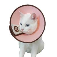 圈猫脖套脖圈头套头罩猫咪防舔防咬宠物保护耻辱圈狗项圈