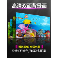 鱼缸背景纸画高清图3d立体水族贴纸鱼缸背景画珊瑚石鱼缸造景装饰