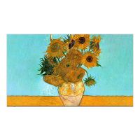 创维(Skyworth)75A7E Pro