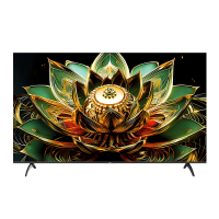 创维(Skyworth) 75H5F Pro 一级能效 超画质广角屏 版本混发