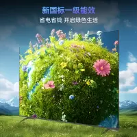 创维(Skyworth) 65A3F  高刷大内存 4+32GB