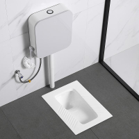 卫浴蹲便器蹲坑式家用蹲厕便池水箱整套厕所卫生间便盆冲水