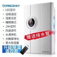 扬子除湿机家用小型卧室地下室内吸湿器干燥除潮抽湿防潮器 F升级遥控款