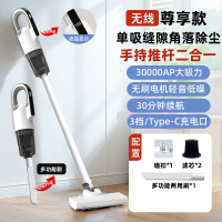 无线手持小型吸尘器拖把一体机家用大吸力宠物猫毛大功率_无线丨全新升级数显3档丨单吸尊享款多功能两用刷_滤芯x2_墙扣
