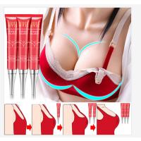 美姿丰韵滋养霜提拉丰胸乳霜紧致聚拢 15g