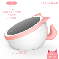 高清日光镜网红镜子阿斯卡利(ASCARI)补光宿舍家用桌面台式LED灯化妆镜女 萌宠带隐藏收纳盒led化妆镜-时尚狐狸款