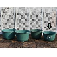 特大号圆形加厚水培无孔荷花盆睡莲碗莲花塑料花盆缸家用庭院