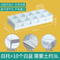 美莳控根多肉花盆塑料套装组合创意透气肉肉控型盆器带托盘小花盆