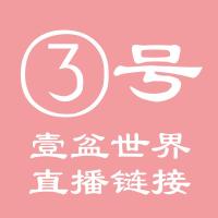 壹盆世界 3号直播链接 多肉花盆