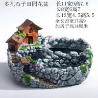 创意个性中大号口径多口高房子老桩微景观家用延熹多肉肉植物花盆