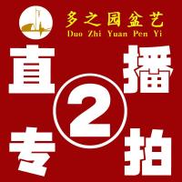 2号链接(编号021--040)多之园盆艺 陶瓷花盆 直播专拍链接