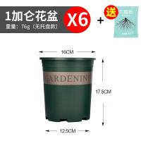 加厚矮胖盆新加仑盆二代花盆家用香水藤盆塑料简约绿萝大号盆