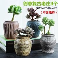 老庄陶瓷花盆高盆法师老桩肉肉创意复古个性室内粗陶多肉植物花盆