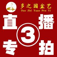 3号链接(编号041--060)多之园盆艺 陶瓷花盆 直播专拍链接