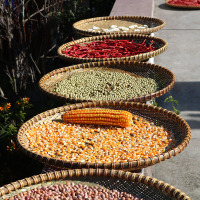 竹簸箕 竹编 家用竹编制品簸箕 竹编 农家子圆簸箕装饰