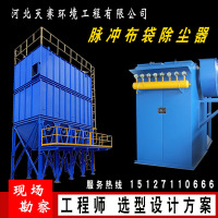布袋除尘器工业高温除尘环保设备锅炉木工布袋吸尘器车间单机脉冲