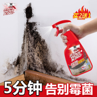 除霉剂墙体墙面霉斑清除剂青苔去除剂除霉味房间发霉喷雾