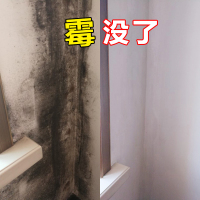 买2送1墙体除霉剂白墙去霉浅色墙纸霉菌清除剂墙体墙面杀霉菌喷雾