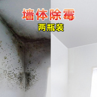 雅狮墙体墙面除霉剂家具白色墙壁墙纸墙布发霉清洗剂去霉清除剂
