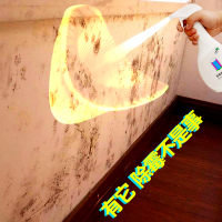 墙体除霉剂白墙墙纸墙布墙面发霉去霉斑除霉点清洁霉菌去霉剂