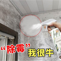 房屋去潮除霉除霉剂霉点墙纸墙布发霉清洗剂去霉墙体房子潮湿发霉