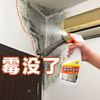 墙体除霉剂室内白墙纸墙面墙布墙壁去霉味霉斑点清除去潮神器