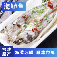海鲈鱼3条1.2斤/条 鲜活现杀速冻海鱼新鲜水产海鲜深海七星花海鲈