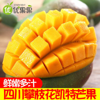 四川攀枝花凯特芒果5斤/9斤新鲜现摘现发当季时令青皮大脸芒水果芒果