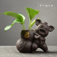 创意绿萝水培花瓶植物盆器鲜花瓶插花瓶水养容器小摆件装饰品家居