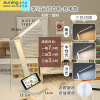 希杰狮王创意时尚可爱笔筒学生桌面斜插式笔桶书桌笔架文具收纳盒女ins 白色-充电款台灯