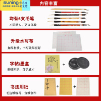希杰狮王毛笔套装文房四宝笔墨纸砚成人儿童小学生初学者入门软笔书法练习纸字帖水写布宣纸国画用全套收纳工具箱 专业款(收纳架