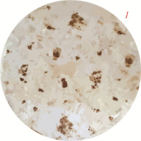 恋名媛毛毯单人宿舍学生煎蛋毯子涤纶欧式圆形披萨儿童国庆节礼物盖毯