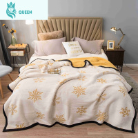 恋名媛珊瑚绒毯子冬季加厚保暖双层法兰绒毛毯床单人宿舍学生小被子被套