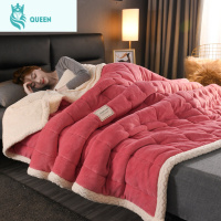 恋名媛梵腾贝贝绒三层加厚毛毯珊瑚绒毯子牛奶绒盖毯法兰绒冬季午睡毯