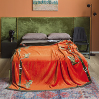 恋名媛法兰绒毛毯床单加厚双面绒云毯单双人欧式法莱绒珊瑚绒盖毯被子秋