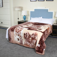 恋名媛加厚双层毛毯拉舍尔毛毯学生单人双人保暖毯子婚庆礼品毯子盖毯