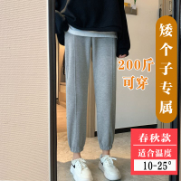 恋名媛孕妇裤子小个子卫裤八分145外穿大码150孕妇裤200斤春秋矮个子女孕妇裤子