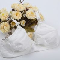 恋名媛哺乳文胸喂奶薄模杯孕妇内衣胸罩期背心式大码超薄款夏季母乳孕产妇文胸