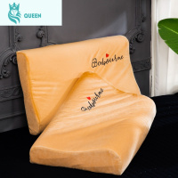 恋名媛珊瑚绒乳胶枕套60x40大人法莱水晶绒儿童50x30硅胶记忆枕头套单个