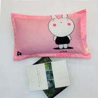 恋名媛儿童枕套30×50cm乳胶枕套儿童小枕头套单个1-3-6-8岁幼儿园枕套