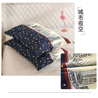 恋名媛一对装]枕套单双人枕头套忱头外套儿童全加厚成人棉加大号枕芯套