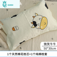 恋名媛婴儿枕头四季通用3岁8宝宝棉花棉儿童幼儿园6个月以上小孩可爱5